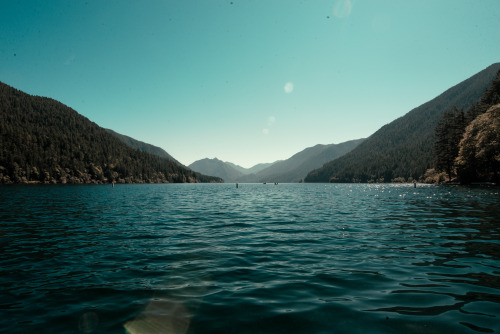 every year I hit a new national park as a goal.Olympic National Parkstill have yet so much to still 