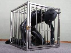 pupsleeves:  Caged Rubber pup  