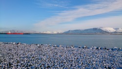 Taken from the bay in Reykjavik.