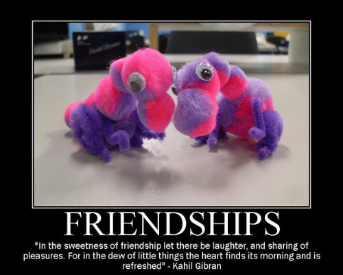 Friendship quote