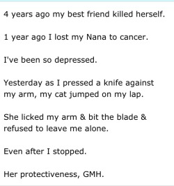 andreaherondale123love:  tylersprofessionalfanboy:  gay-youtubers:  thearmada4231:  Stories that Give Me Hope.  Stories that make me cry  THIS. MY FEELINGS.  I just.  oh the feels gave me chills