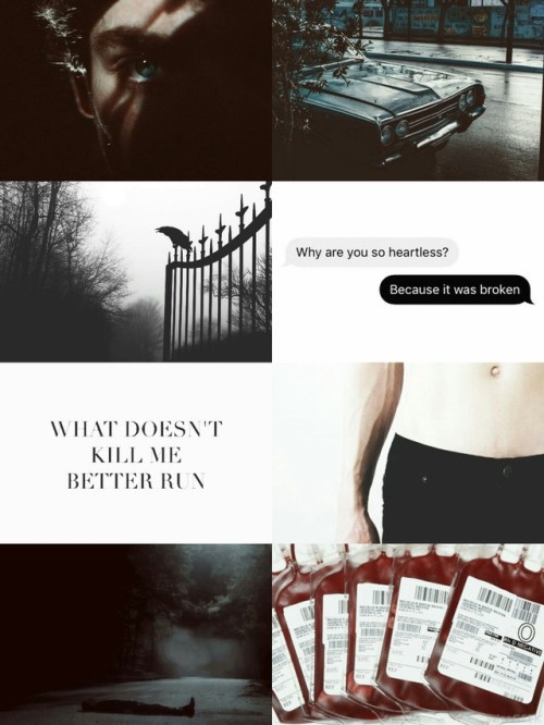 aestheticsisters:Brothers Aesthetic ➤Stefan and Damon Salvatore. “I was wrong. There’s no huma