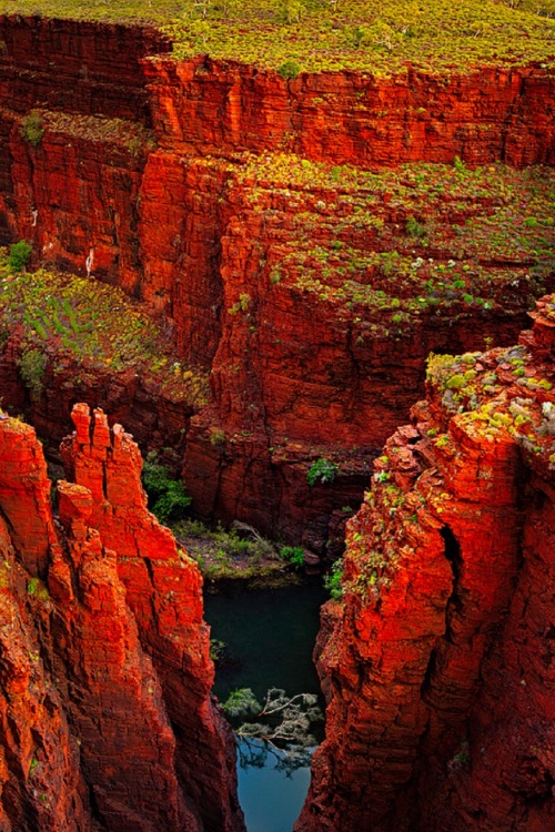sublim-ature:  Karijini NP, Western AustraliaNeal Pritchard 