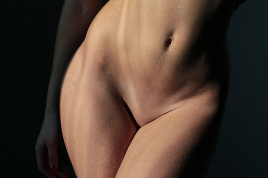 Quello che cerchi
