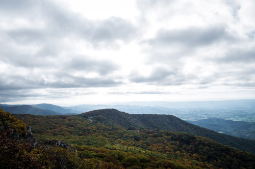 Shenandoah National Park