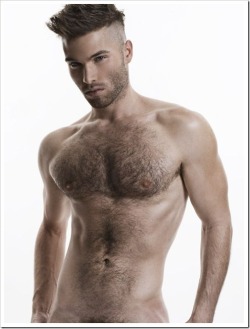 favhob:  hot4hairy: Andrew Skelton  My Favorite Hobbie: http://favhob.tumblr.com