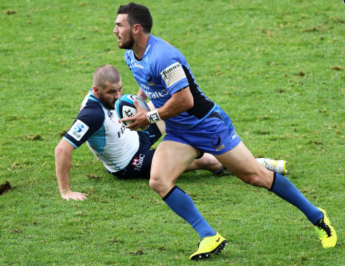 Alby Mathewson, Angus Cottrell, Kyle Godwin, Jayden Hayward and Matthew Hodgson of the Western Force