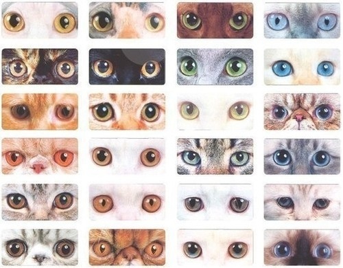 through-the-loooking-glass:  READY FOR ABDUCTION | via Tumblr on We Heart It. http://weheartit.com/entry/82114716/via/iFeeh