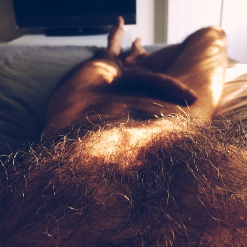 cockey: scottinnooriginals:Morning Light II - Flickr &amp; Instagram @scottinno Hot n Hairy  Loo