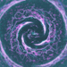 jesuisrien-e:Purple