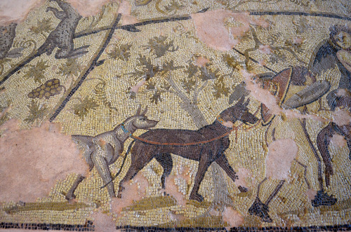 greek-museums: Crete, Archaeological Museum of KissamosDionysiac Mosaic Floor[Found in] Antonios Sko