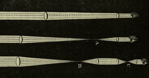 magictransistor:  Thomas Dick. The Practical Astronomer. 1845. 