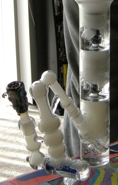 weedanimekpop:  •stay lifted• 