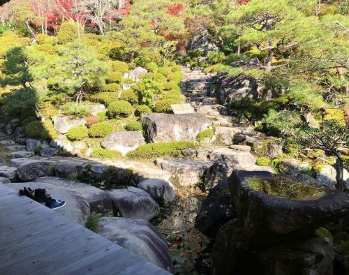 百済寺喜見院庭園 [ 滋賀県東近江市 ] ② Hyakusaiji Temple Garden, Higashiomi, Shiga ーー聖徳太子が開いた、紅葉の名所“湖東三山”最古の寺院。 #鈍穴流