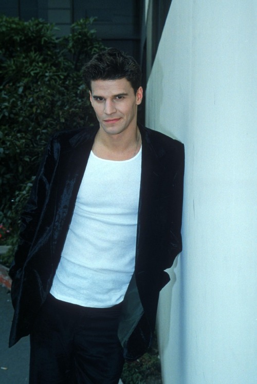 David Boreanaz as Angel from Buffy the Vampire Slayer (Season 1)