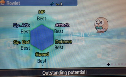 bronovans:oddbagel:I have seen the face of godThis is the 6 IV Rowlet of Prosperity. Reblog and 2017