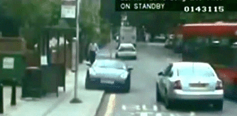 Bitch, stay out of my territory