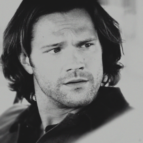 lemondropsonice: “You’re not coming?”  “No.” - SN: 13x01
