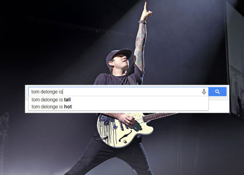 niazkilamstagram:  blink-182 according to google [insp.]