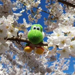 nintendo:  Happy Spring! 