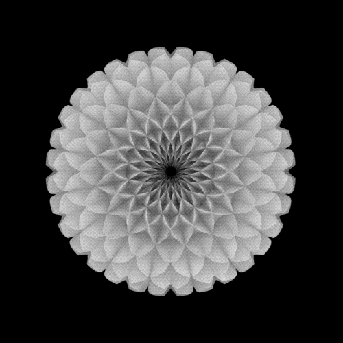 Jesuisrien-E:black And White