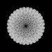 jesuisrien-e:Black and White