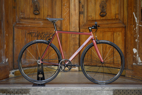 bicyclestore:  Colossi Rambler Pursuit Custom by Bicycle Store Photo: C-reel