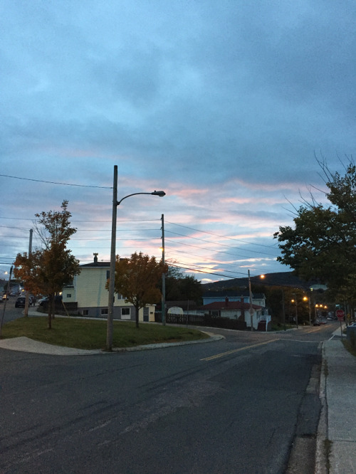  St. John’s, Newfoundland 