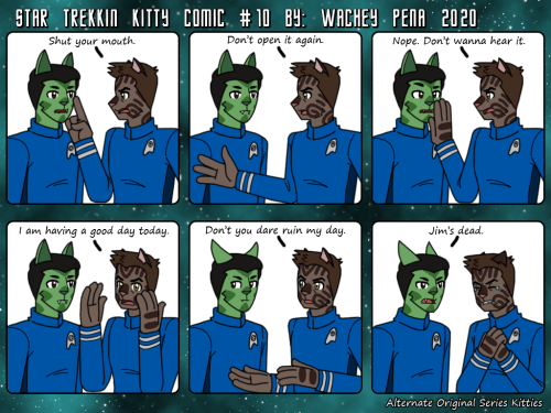 Star Trekkin Kitty Comic 10 Tagging peeps: @incorrect-trekquotes @sephiralorange @just-straight-up-c