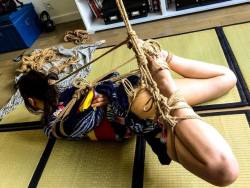 Kinbaku blog