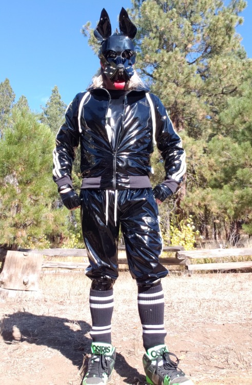 A patent leather and PVC puppy out baking in the sun.