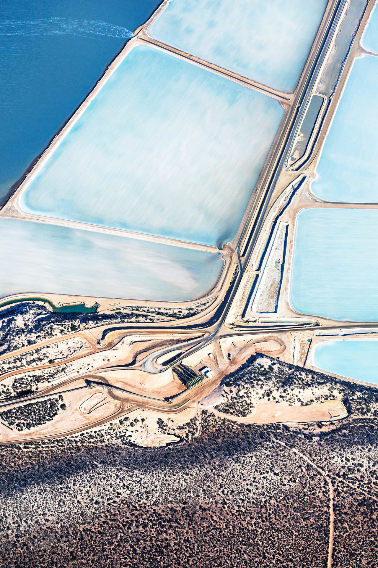 lehroi:  Shark Bay, Western Australia, 2014.Simon Butterwort