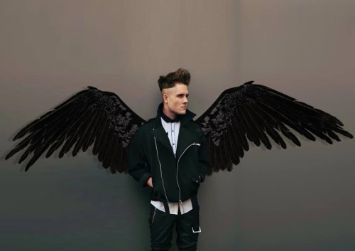 To Sir (re: His post for me)Reminiscent of the MALEFICENT raven poster artwork, Sir … though I like 