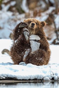 magicalnaturetour:  (via 500px / Toy broke by Sergey Ivanov)