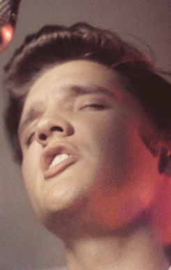 Porn photo clintonreno:  Elvis Presley - RCA Studio