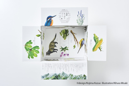 Organic corn packaging designed by Kojima Kozue and illustrator Kihara Misaki 