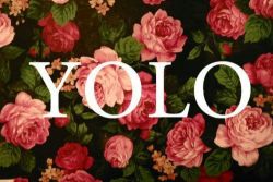 love-is-in-your-hands:  Yolo on We Heart