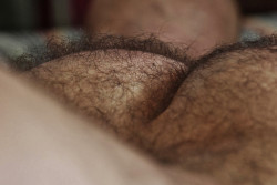 hairy mounds of fantasy - WOOF