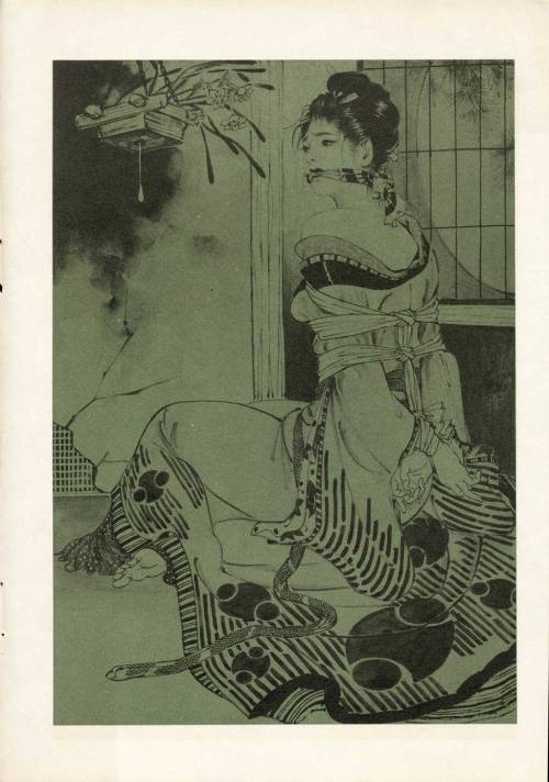jbinjapan:  裏窓 (1964年03月) 