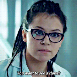 iamcosimaniehaus:  I assume he’s here to help us with 324B21.&lsquo;Cause otherwise…