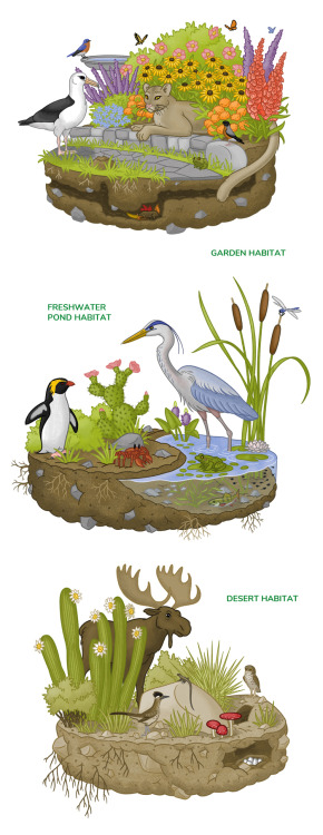 Who’s not in their proper habitat?  The “Habitat Mix Up” pages of, Nature Smarts Workboo