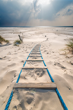 definitelydope:  Amrum | Joanna Moehr