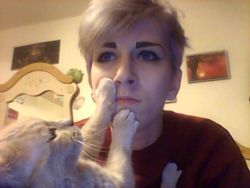 kittehkats:  papakylo:  papakylo:  i wanted to take pictures w her cause i missed her but apparently the feelings werent mutual     two years and almost 80k notes later and my cat still doesnt love me  “I will fank you to kinely respek my personal space.”
