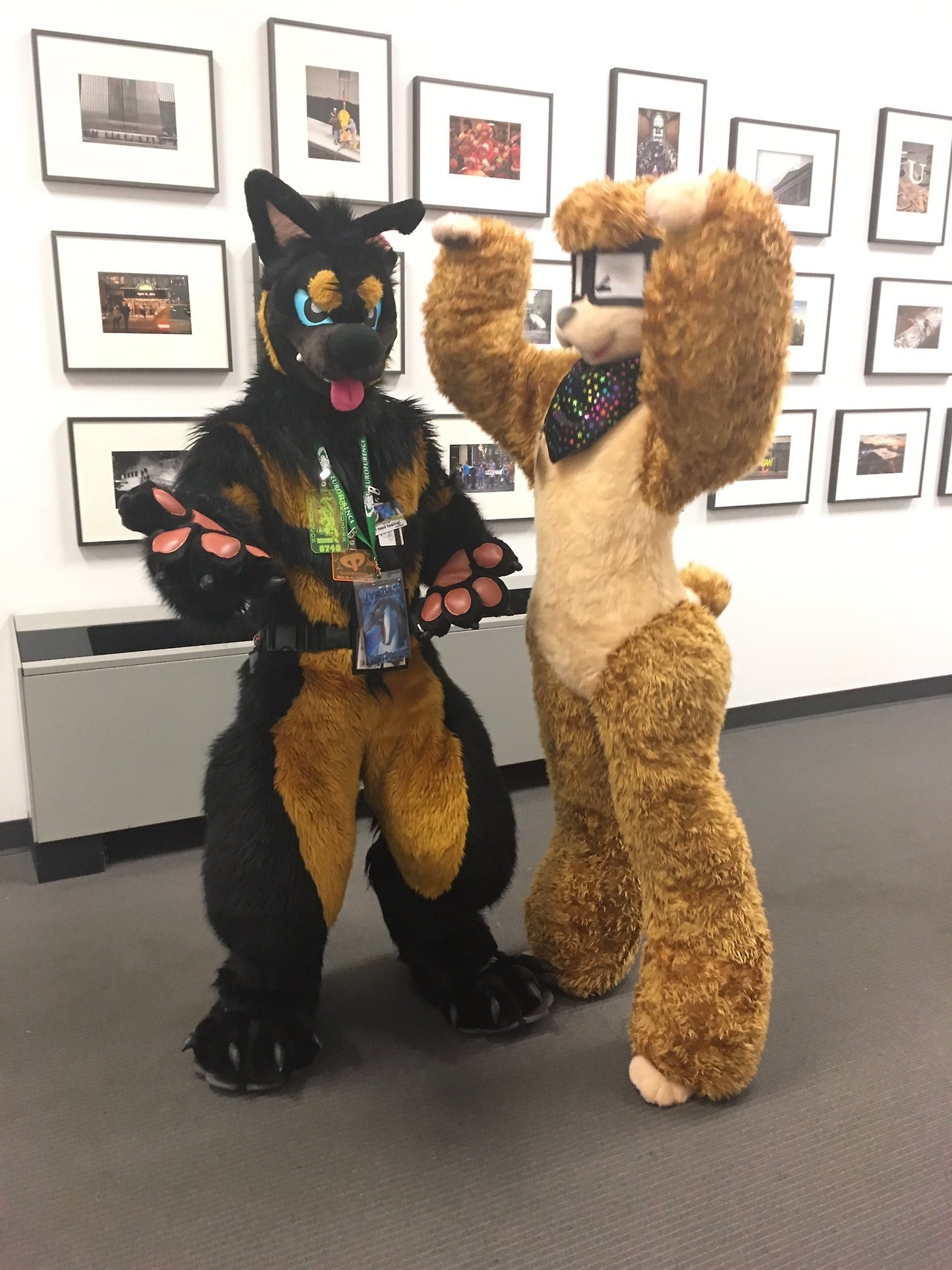 fursuitpursuits:RT @avvyPOOD: LOTS ! OF ! CUTE ! SUITS ! THANK U ALL! https://t.co/Kk0eLcXhQG