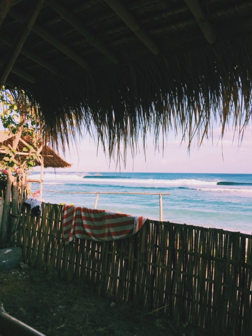 cantina-tropical: the-ocean-paradise: sunkissed & sandy X ❁❁ tropical blog, following back e