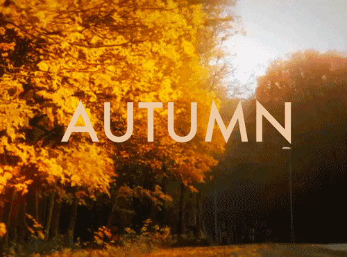 dirtyhippieproductions:  Autumn is a second spring when every leaf is a flower - Albert Camus ☮  ❤ ॐ 