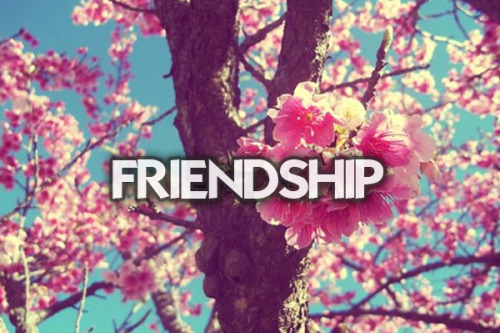 pandasennin:  hanabridge:  HIPSTER CATCHPHRASES.  Because shut up   