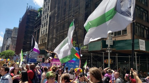 grace-and-ace: redbeardace:NYC Pride Parades 2019 @arowitharrows you said you hadn’t seen Arom