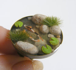 Coolthingsyoucanbuy:  Miniature Koi Fish Pond Ring