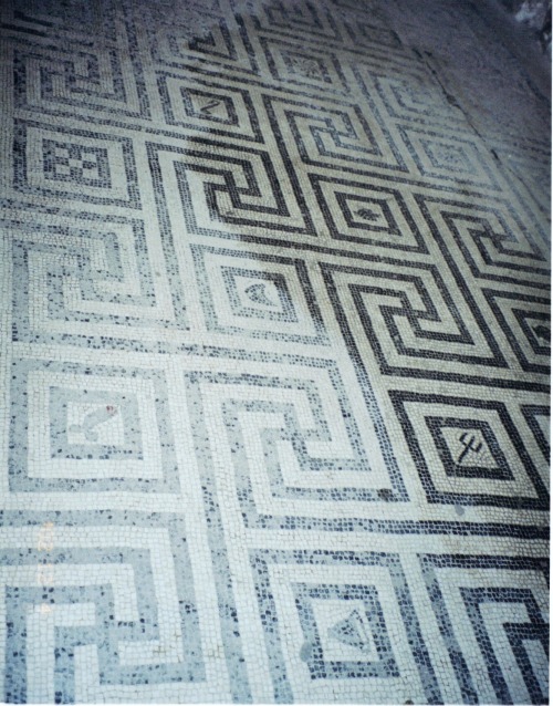 clioancientart: Mosaic floor, women’s changing rooms, Central Baths, Herculaneum, 1st Century 